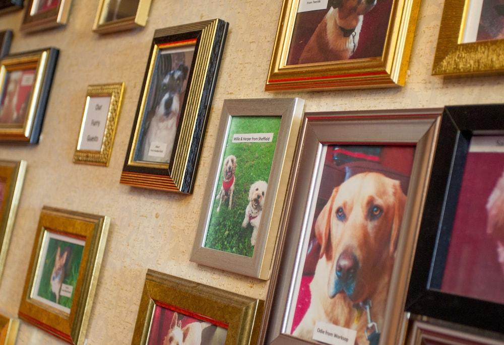 Bagden Hall Hotel Scissett Dış mekan fotoğraf